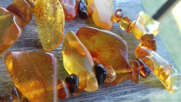 Калининград Балтийское море янтарь