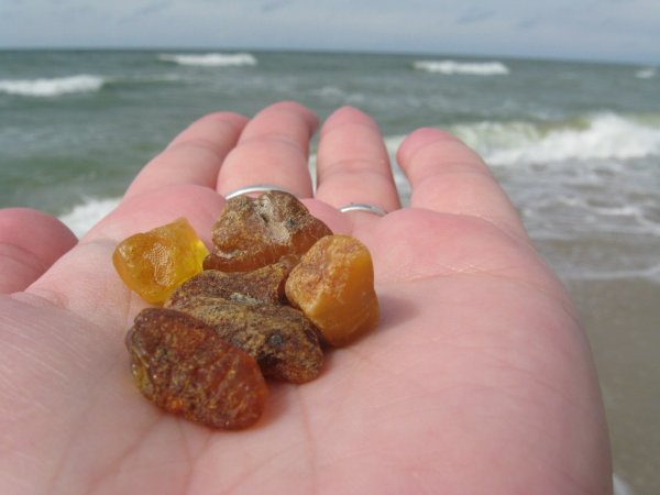 Янтарь на Куршской косе