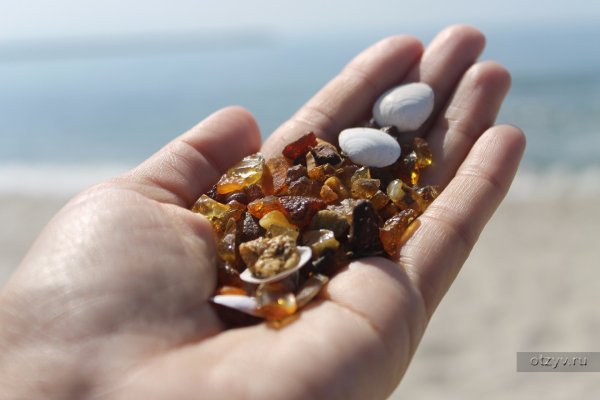 Янтарный берег Калининград