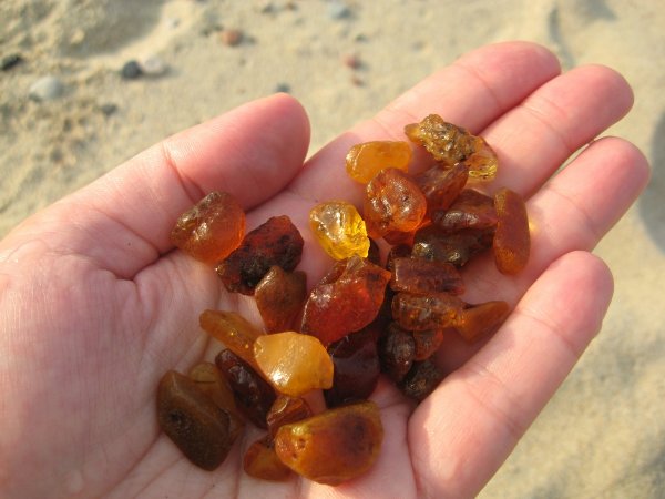 Балтийское море янтарь