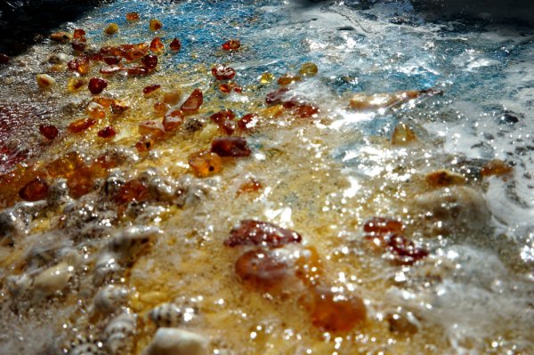 Янтарь ракушки Балтийского моря