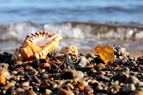 Янтарь на море