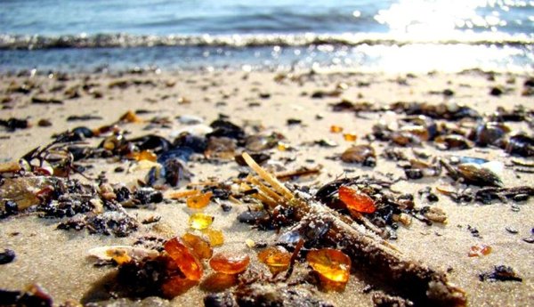 Ракушки на пляже