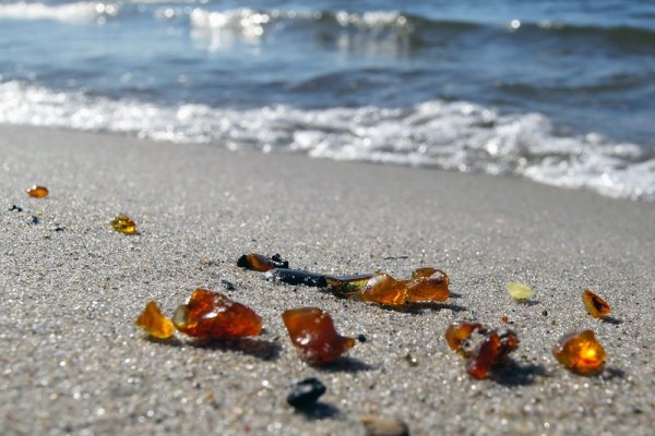 Балтийское море янтарь