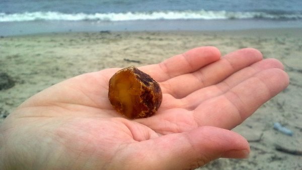 Балтийское море янтарь