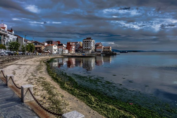 Понтеведра Кадис