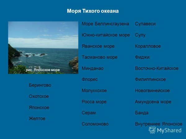 Моря Тихого океана список