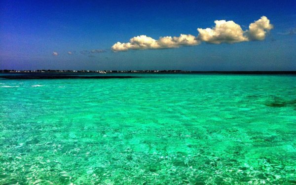 Море зеленого цвета