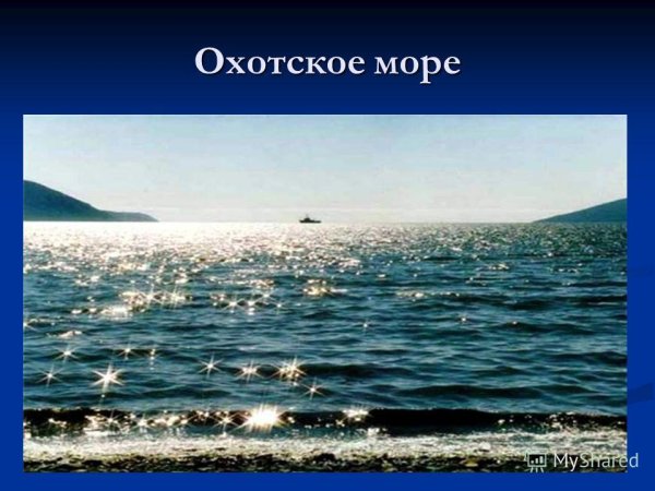 Охотское море презентация