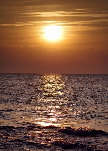 Море пальмы закат