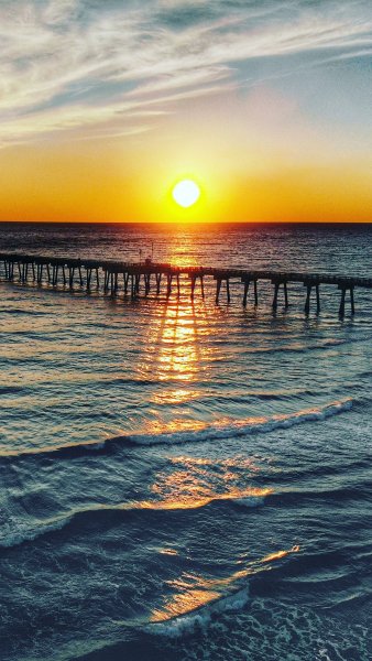 Море пальмы закат