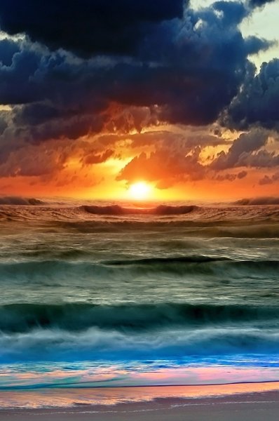 Обои пальмы