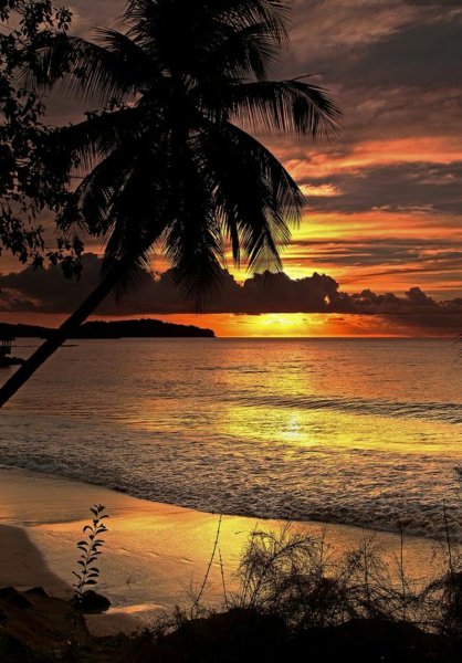 Закат на море вертикально