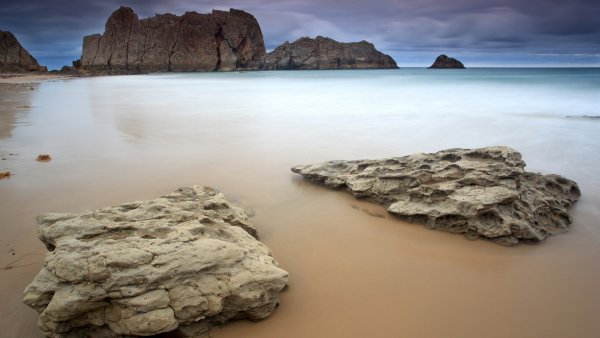 Балтийская Дюна трава