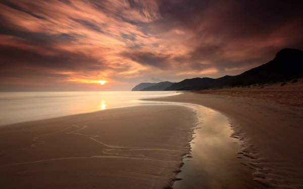 Побережье с пальмами