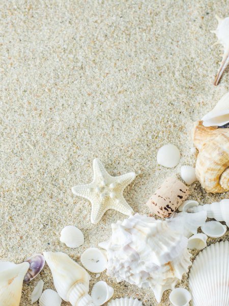 Морской песок