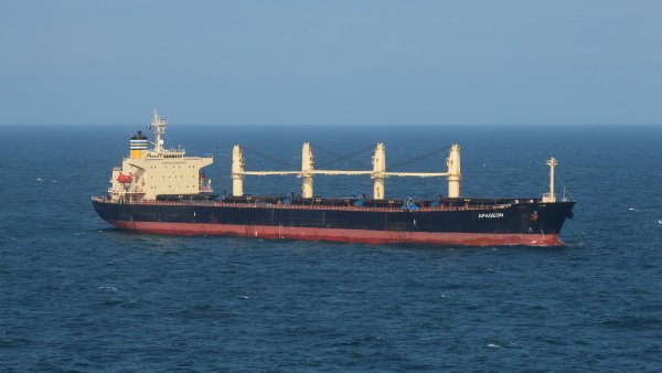 Bulk Carrier Handysize