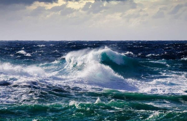 Всемирный день моря энциклопедия