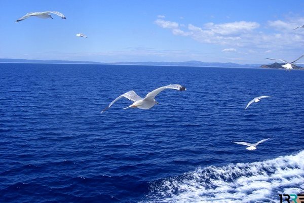 Всемирный день моря