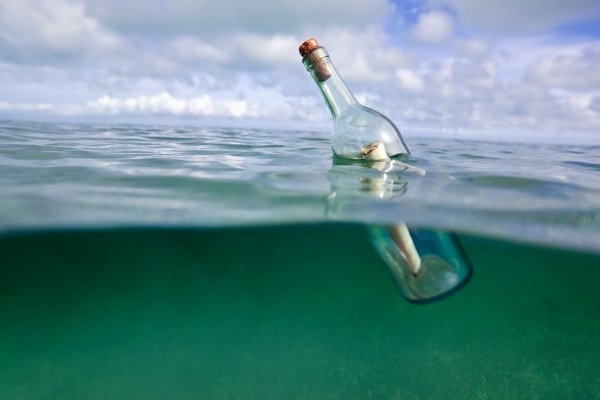 В сердце моря