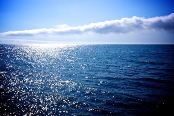 Спокойное черное море