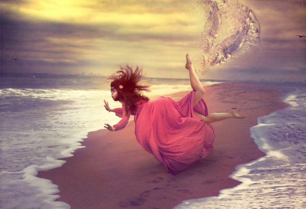 Чайка в небе