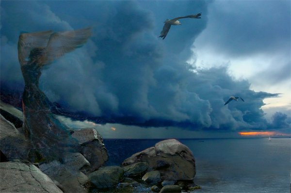 Орел над морем