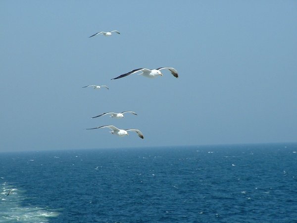 Прыжок в воду со скалы