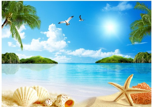 Море ракушки пальмы