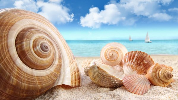 Морская тема