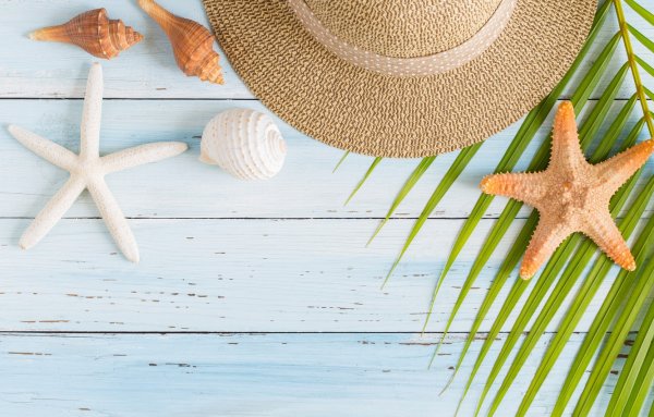 Летний морской фон