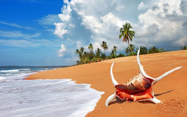 Шри Ланка море пляжи