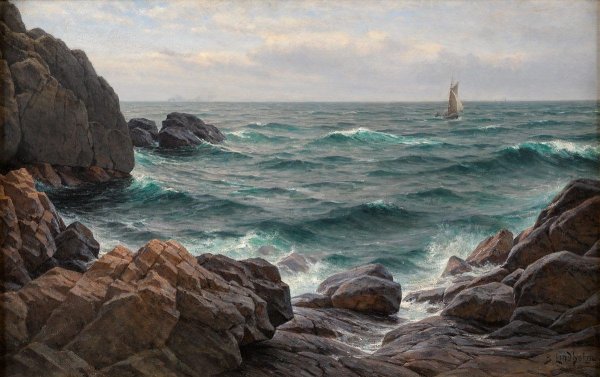 Дмитрий роза волна