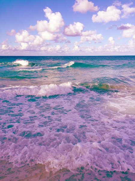 Розовый океан