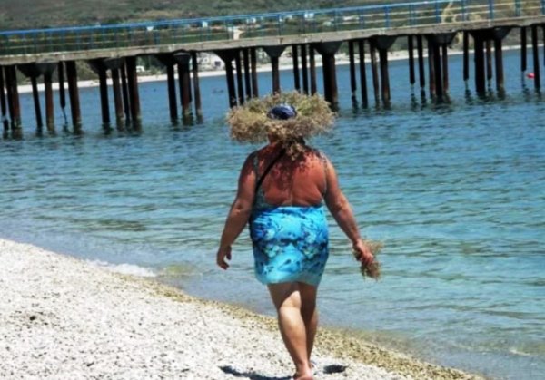 Две старушки на море