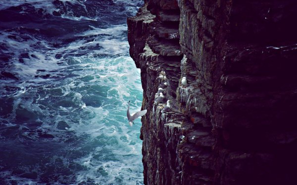 Обрыв у океана