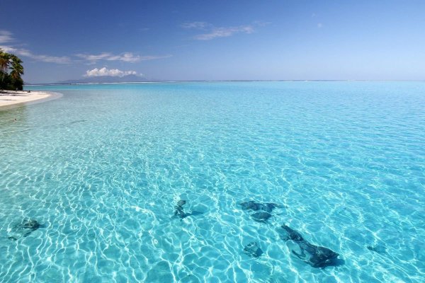 Море изумрудного цвета