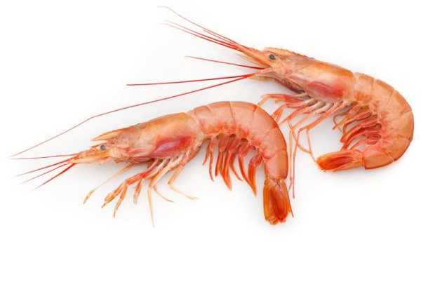 Креветки лангустины Аргентина