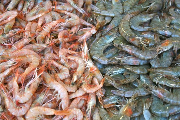 Креветки бейби шримс