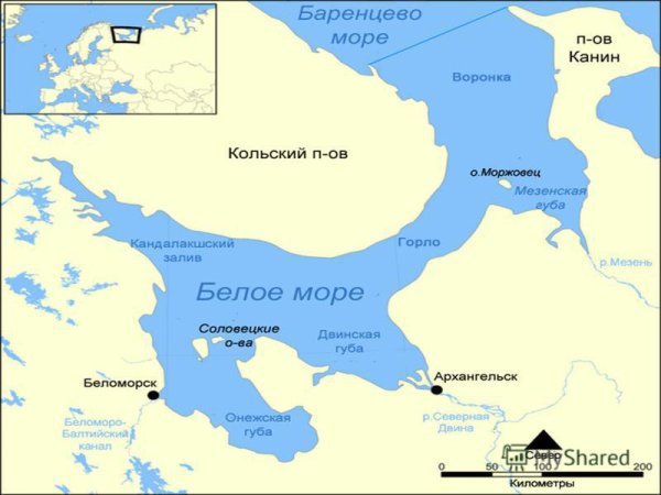 Карта Кандалакшского залива белого моря