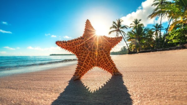 Морской песок