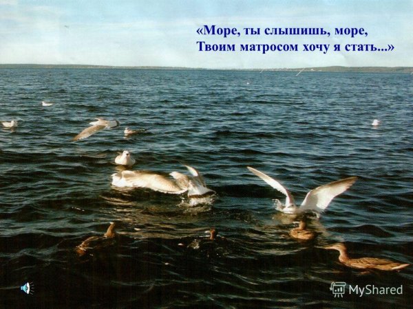 Марк Моргунов