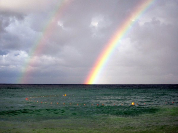 Двойная Сочи Радуга