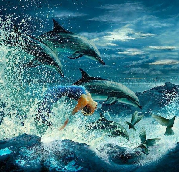 Дельфины черного моря