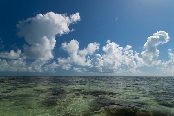 Море Горизонт