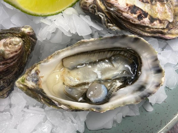 Устрицы Блэк Перл