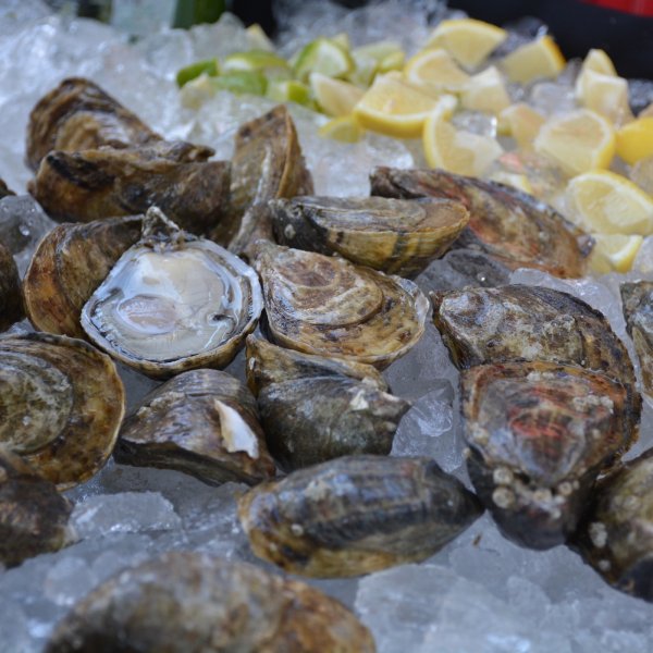 Устрицы Черноморские