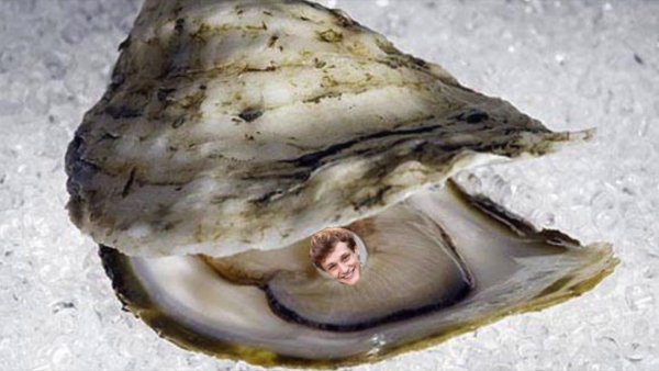 Двустворчатые моллюски Жемчужница