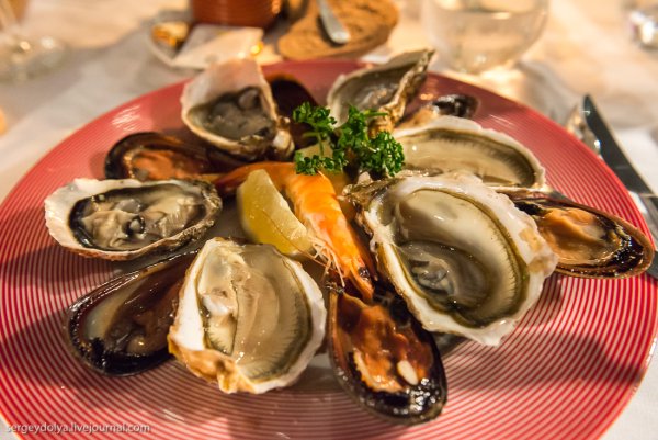 Мидии устрицы жемчужницы