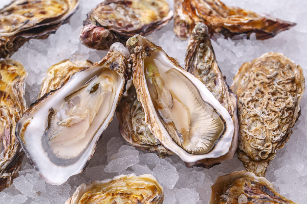 Устрица фин де Клер